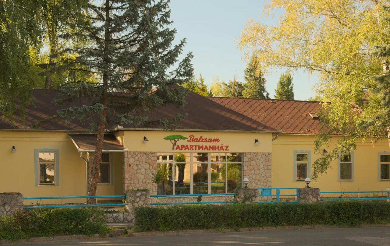 Balzsam Apartmanhaz 哈卡尼 外观 照片