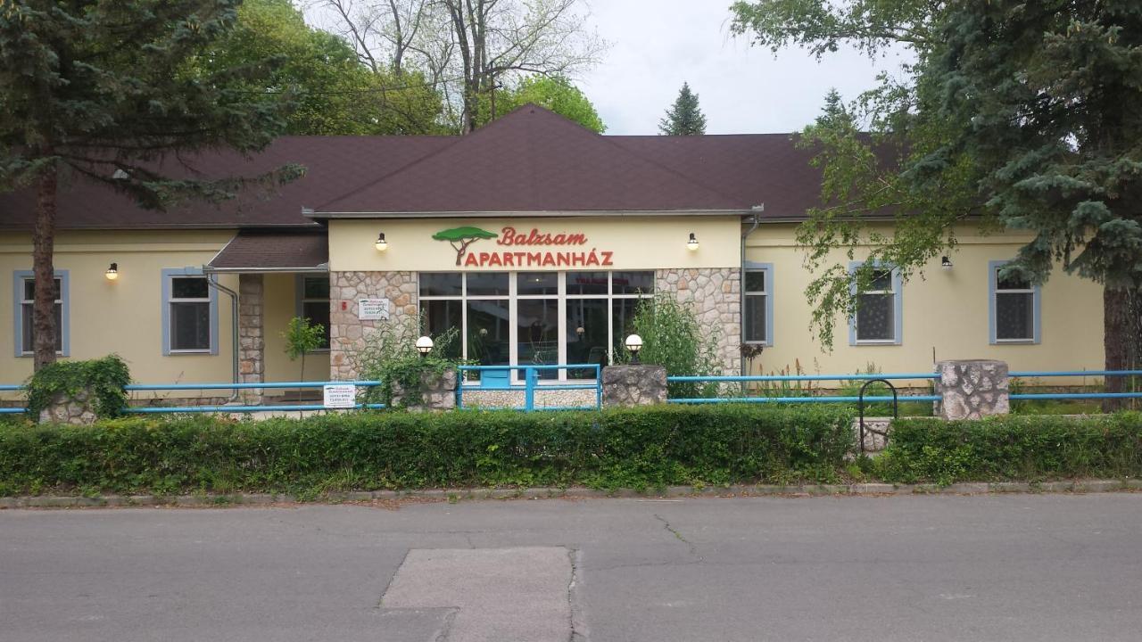 Balzsam Apartmanhaz 哈卡尼 外观 照片